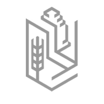 DEXS - Data Experience Studio