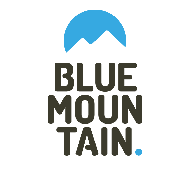 Power BI design training incompany Bleu-mountain