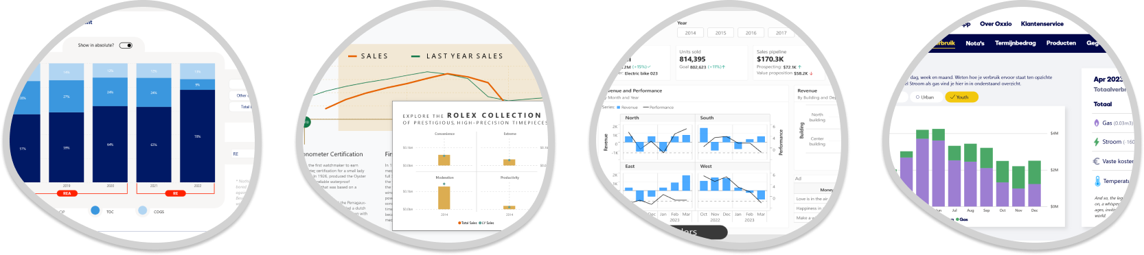 Zakelijke Power BI dashboard projecten