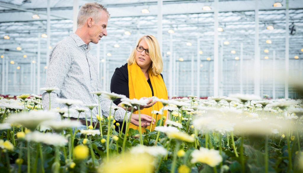 Mood floraholland