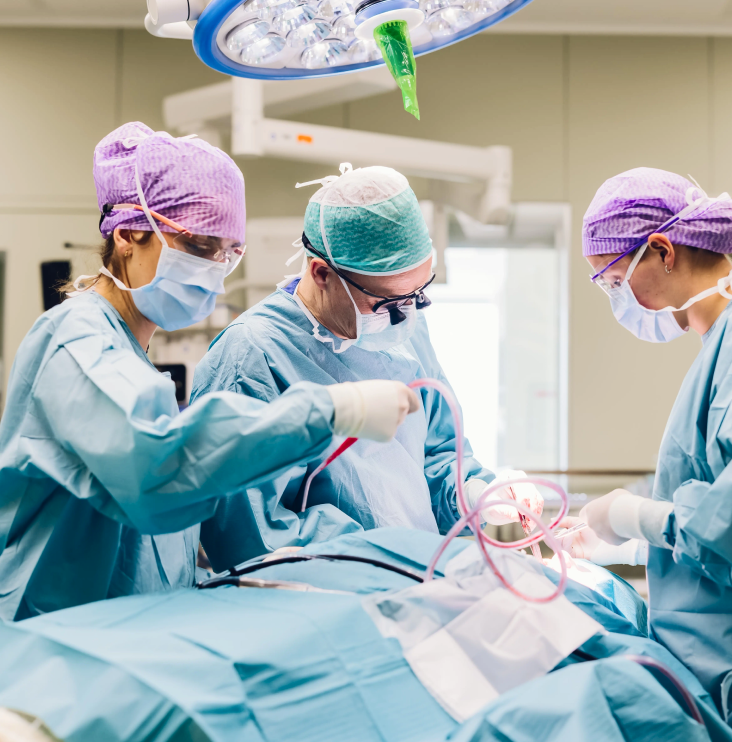 Power BI UX/UI training bij MST